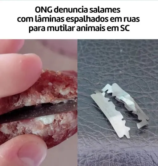 ONG alerta para risco após denúncia de alimentos com lâminas deixados nas ruas em Concórdia.