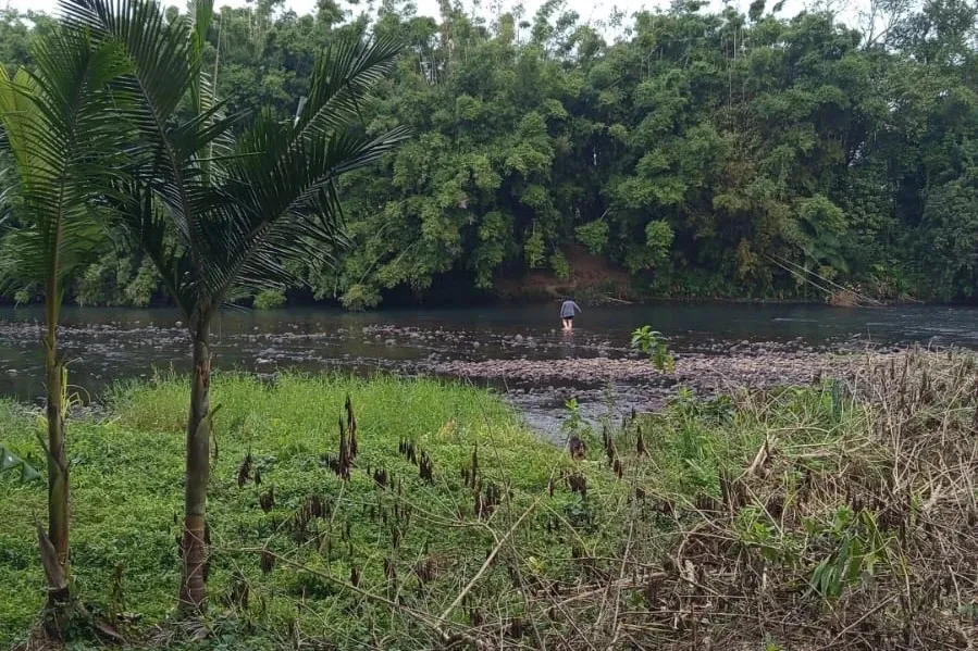 Moradora de Meleiro desaparece às margens de rio e buscas mobilizam forças de segurança