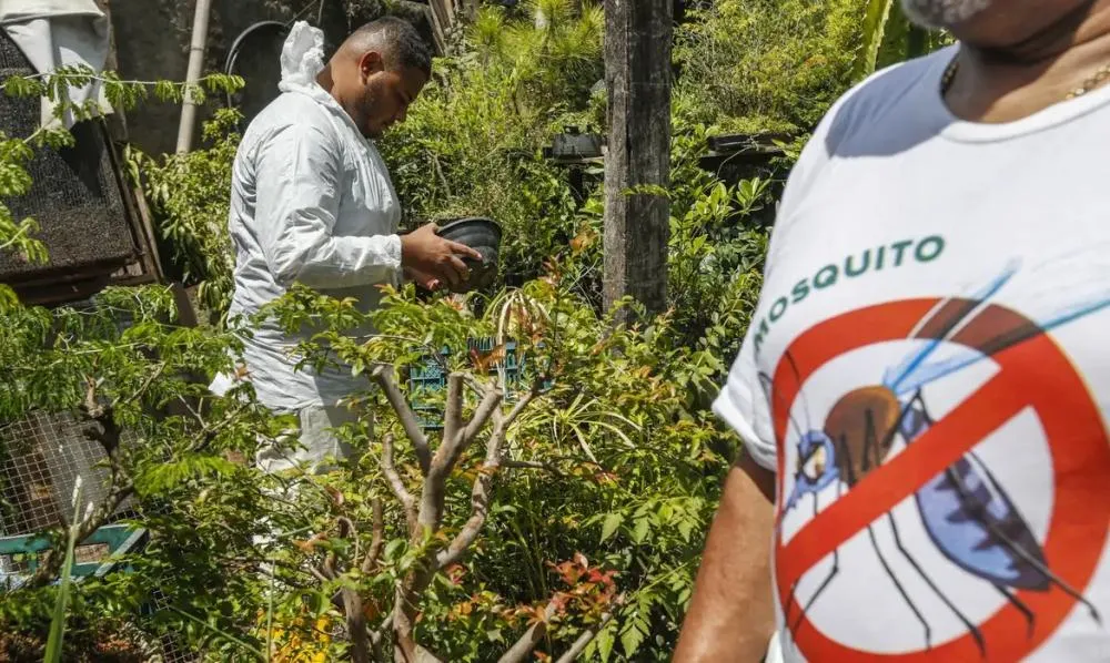 Içara lidera número de focos do mosquito da dengue na Região Carbonífera